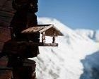 Ya no caben mas esquiadores en el Tirol
