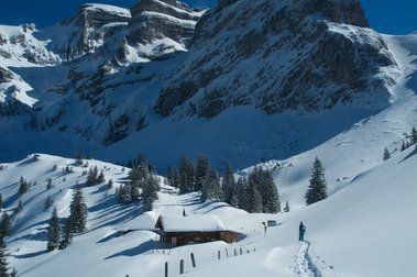La mejor forma de elegir los esquís de montaña