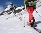 Cómo elegir correctamente tu mochila en la práctica del esquí de montaña