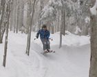 Aspen Snowmass monta un nuevo telesilla y pistas entre árboles