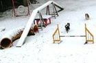 La Molina instala una zona de "snowgility" para perros