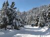 Qué ofrece el Pirineo de Lleida en tus vacaciones de esquí y montaña