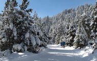 Qué ofrece el Pirineo de Lleida en tus vacaciones de esquí y montaña