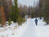 Pedaleando por el bosque en invierno
