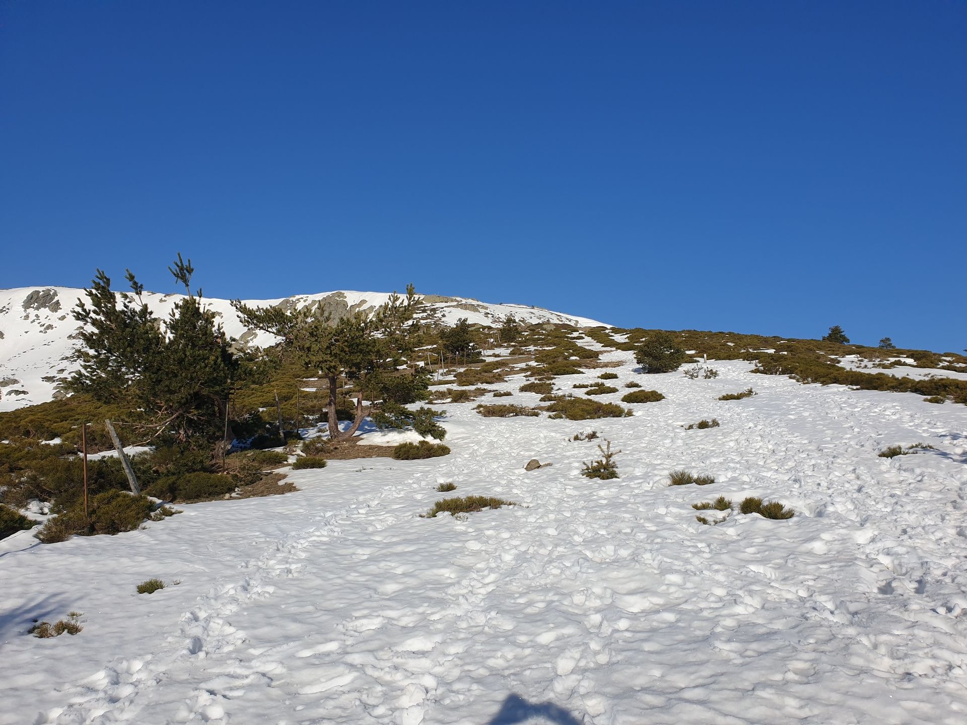 Pico del Nevero (28.2.21) 