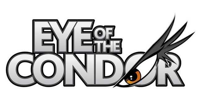 Eye of the condor