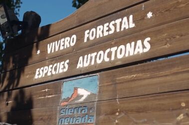 El nuevo telesquí de Sierra Nevada se instala con medidas medioambientales