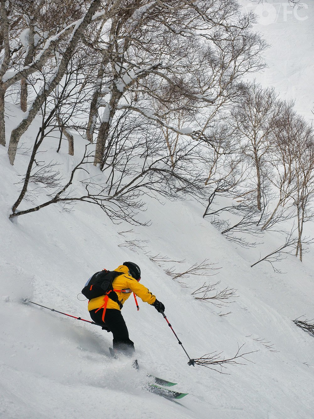 Ski Japón