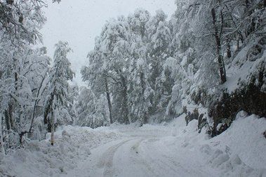 Peligra Pavimentación del Camino a Nevados de Chillán
