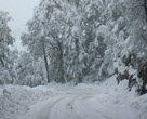 Jornada Crucial Para Pavimentación de Camino a Nevados de Chillán