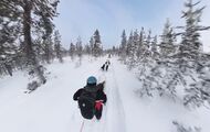 Trineos de huskys, granjas de renos y pies congelados en Laponia