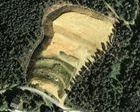 Una sentencia Obliga a restaurar un bosque en La Molina