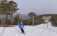 Cercedilla y Navacerrada dan sus votos a la estación de esquí