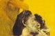 Del 27 de julio al 28 de agosto en Jaca. Exposición De Mono a Hombre: Cinco hitos en la evolución humana