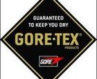 Gore-Tex unifica su logotipo.
