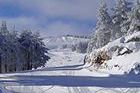 La falta de nieve coloca a Manzaneda ante una grave crisis económica