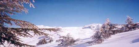 Montañas del Parque Nacional de Djurdjura