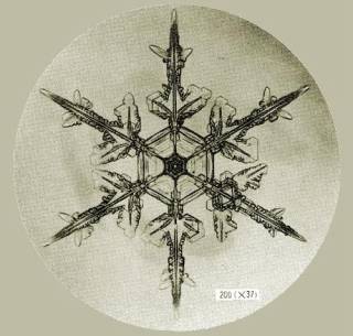 Por qué los copos de nieve son simétricos y hexagonales?